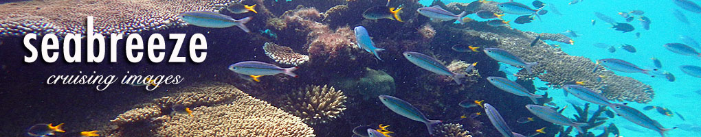 The Great Barrier Reef